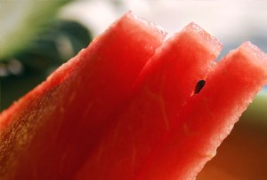 photolibrary_rm_photo_of_watermelon_slices