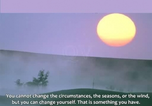 you-cannot-change-the-circumstances