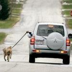 car-walk