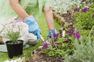 use-the-right-tool-for-gardening
